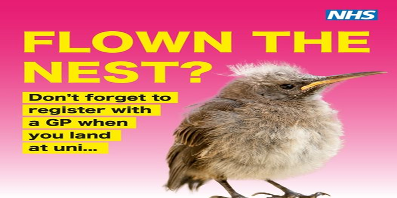flown_the_nest.jpeg